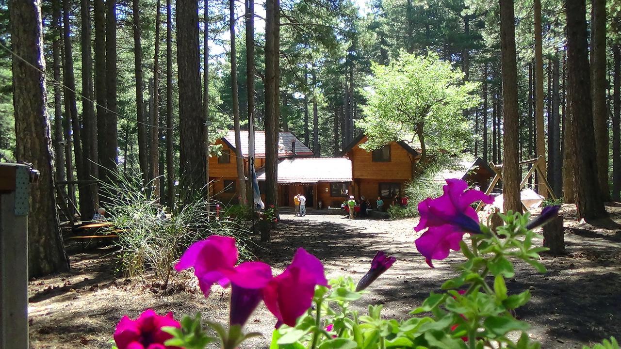 Hotel Chalet Clan Dei Ragazzi Linguaglossa Exterior foto